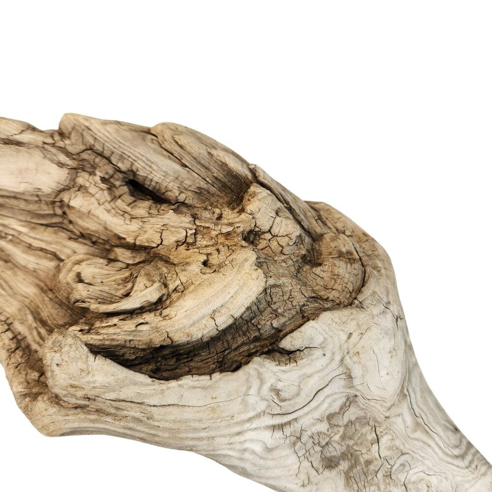 Natural Driftwood Decor Piece For Crafting Aquariums Reptile Tanks Or Rustic Dis - Picture 3 of 14